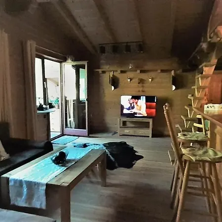 Luxusapartment Im Landhaus Brugger Daire Muhlbach im Pinzgau