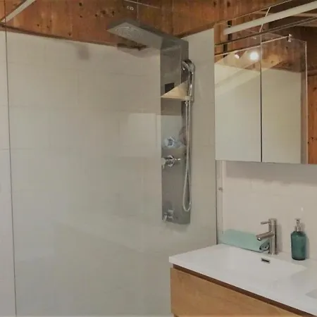 Luxusapartment Im Landhaus Brugger Daire Muhlbach im Pinzgau